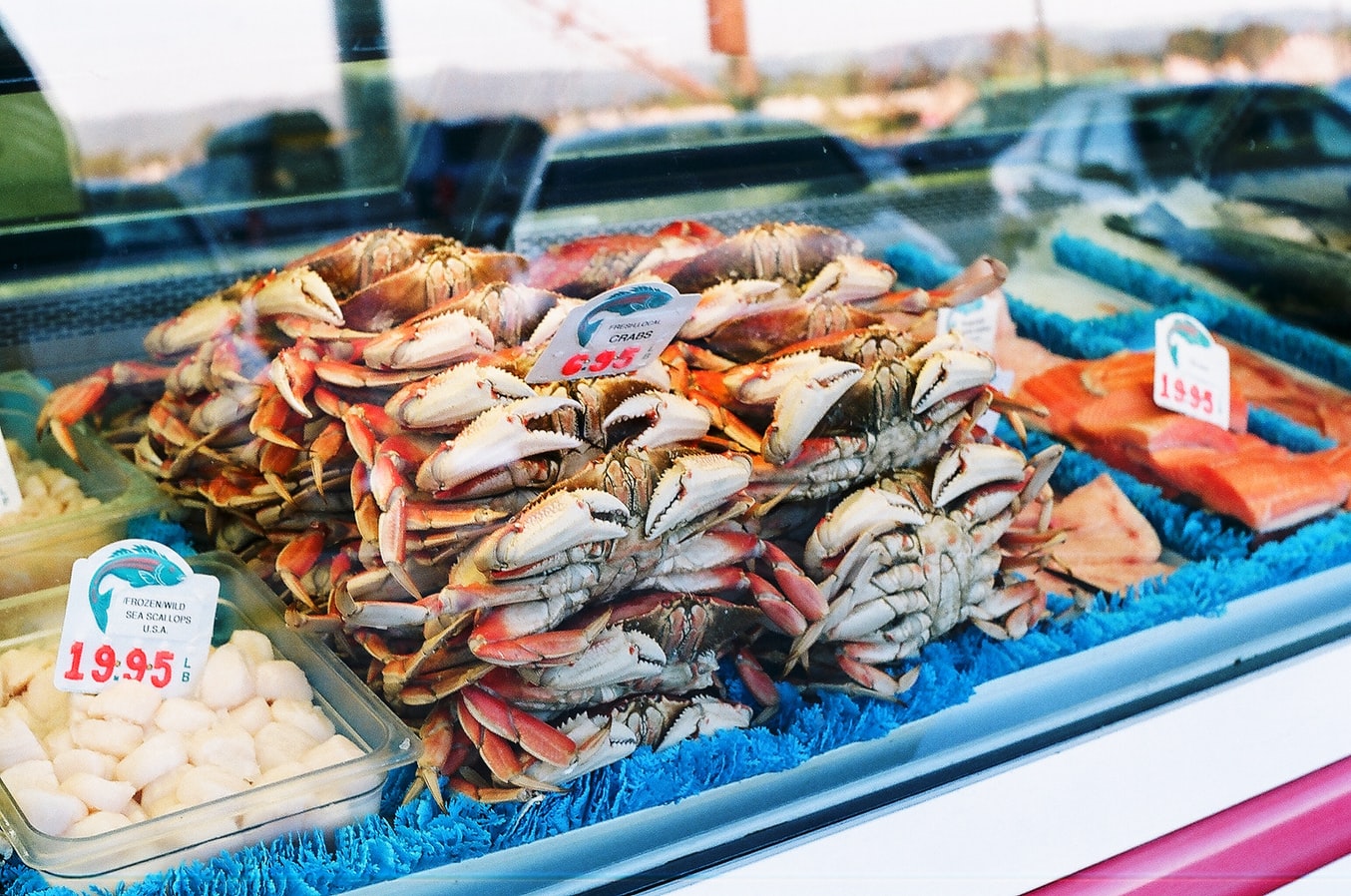 When Is The Florida Stone Crab Season? | Naples, Florida